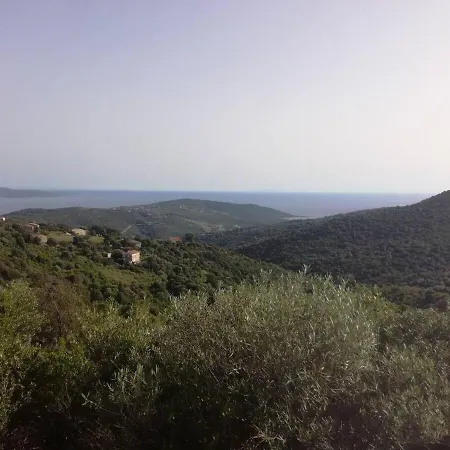 T2 Log Entier Porticcio 35m Piscine-mer-resto 400m Lägenhet