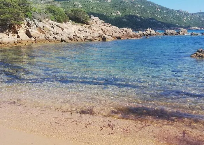 T2 Log Entier Porticcio 35m Piscine-mer-resto 400m * Grosseto-Prugna