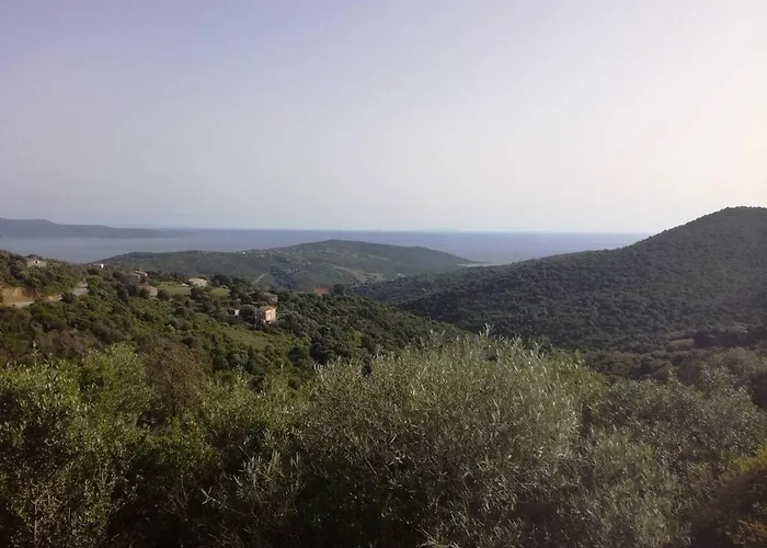 T2 Log Entier Porticcio 35m Piscine-mer-resto 400m 公寓